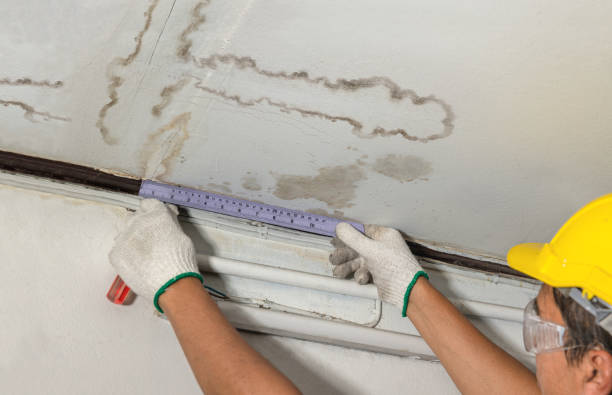 Reliable Mold Remediation contractor in San Joaquin, CA by Water Damage Irwin